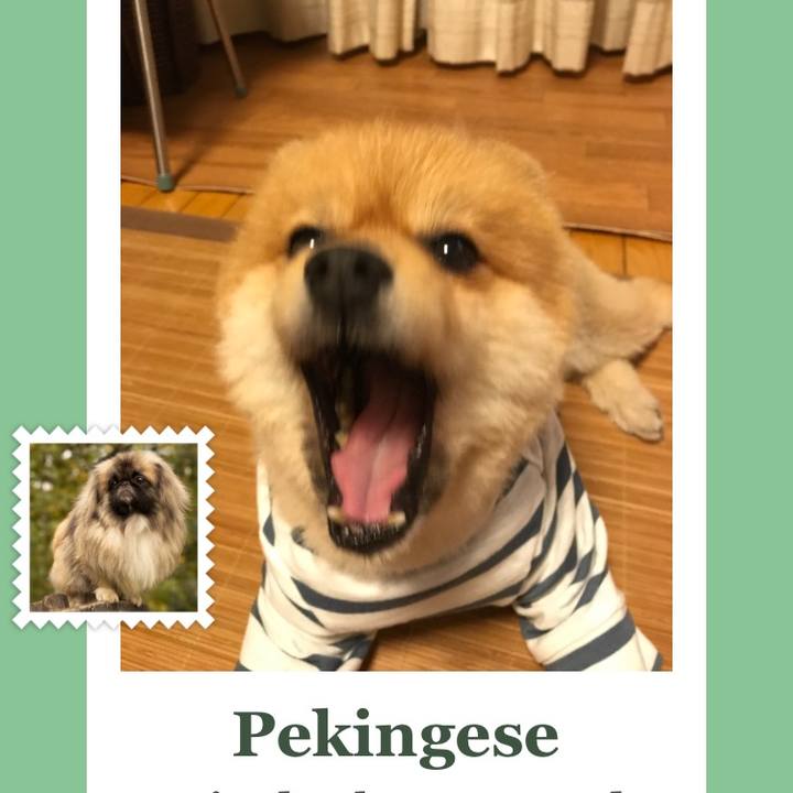 B403b6ef 2117 4ce0 a6ff e23738e7b12e