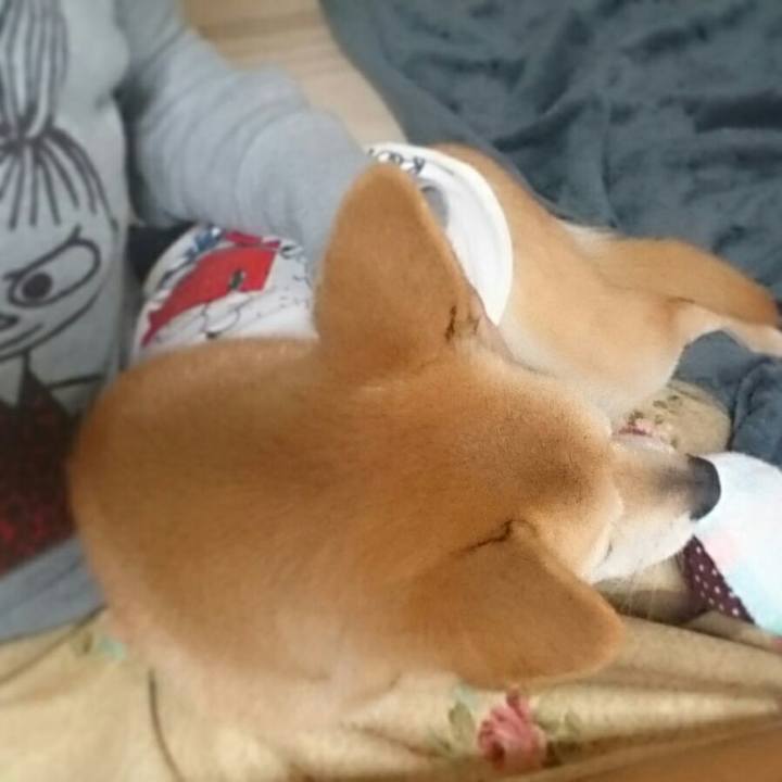 B403b95e 27c0 407e 8224 88ee3c2e64e3