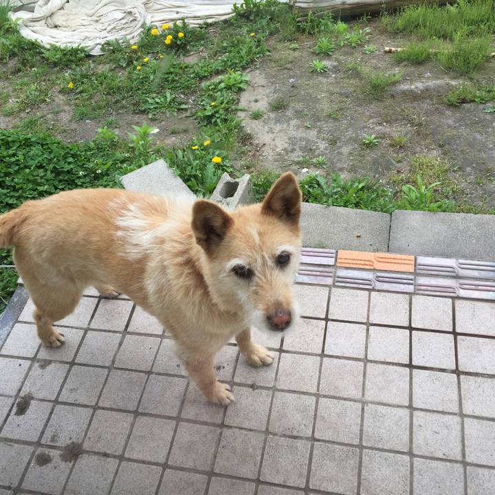 B40439d5 0698 4ec3 ab1f 6e55ad37d809