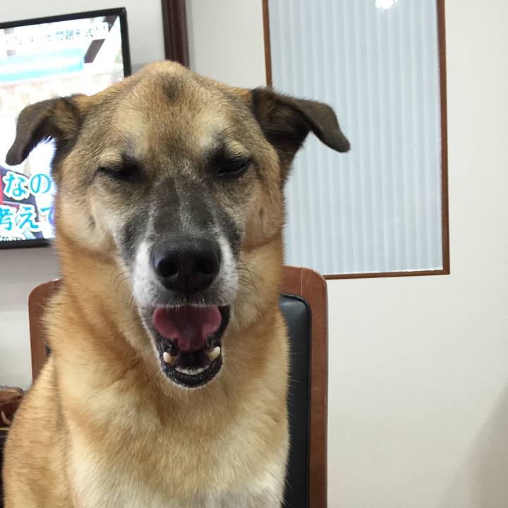 B4045c6b 36f4 412b a4ad bf68e3c5e654