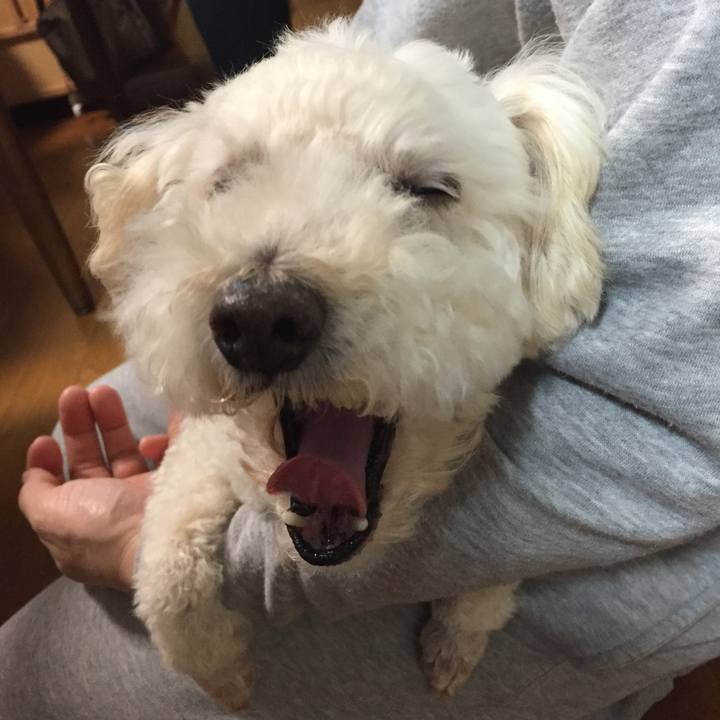 B40526fd 81c4 407a 89a5 0887f112bcef