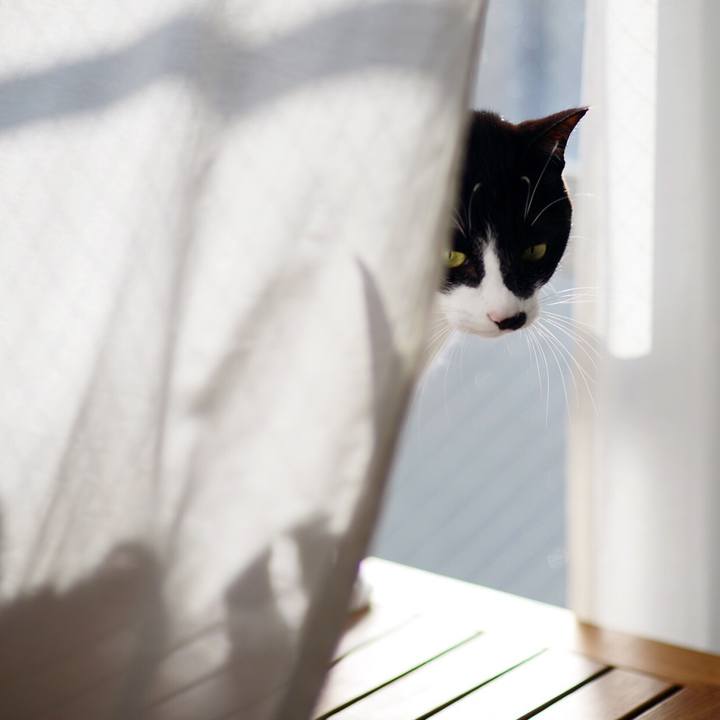 B405491e 62b8 48e4 96bc 88450f54e06a