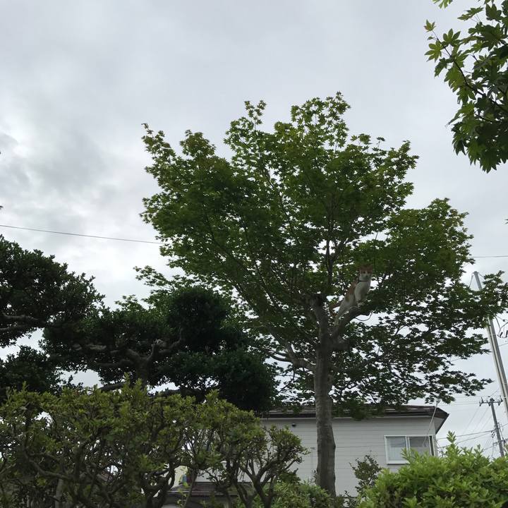 B405a611 f9a5 4c82 bae9 55a2d62f57ab