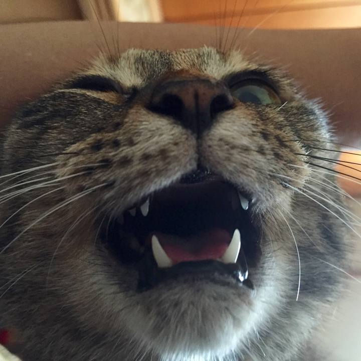 B405beb5 7da3 4583 9bd3 3440423329a8