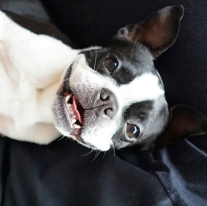 B407e1e3 f7a8 4419 a939 0aca88ece3f8