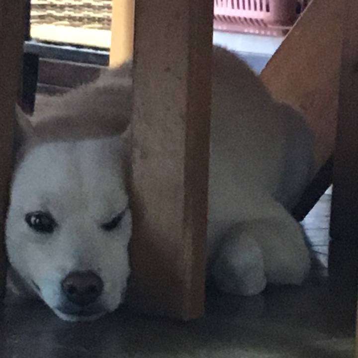 B4092ddc 5da0 46d1 bdd7 aaa0acb63c1d