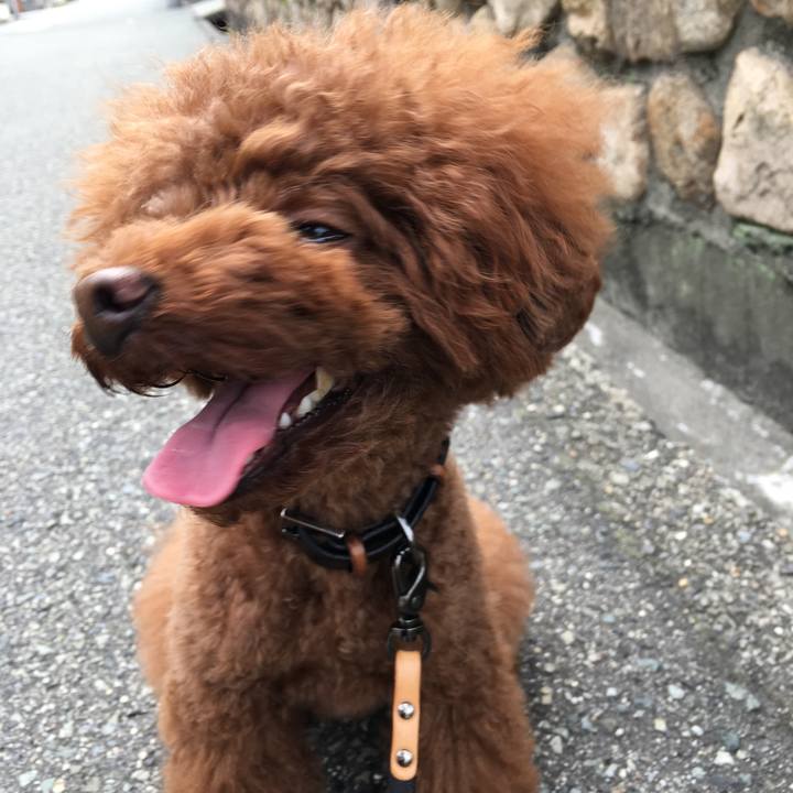 B4092f75 de97 4aa4 b692 4d8d063e827f