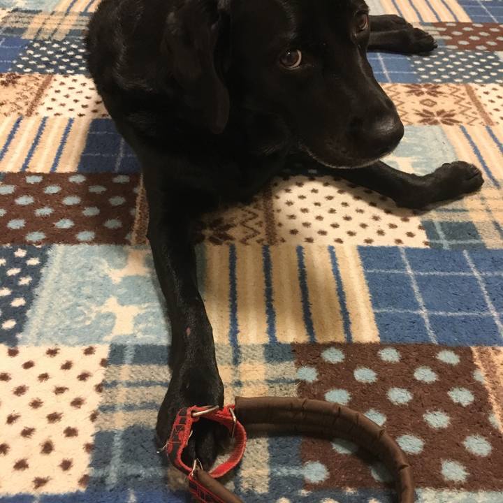 B40a3002 e47e 4816 9be6 ffd400464e2d