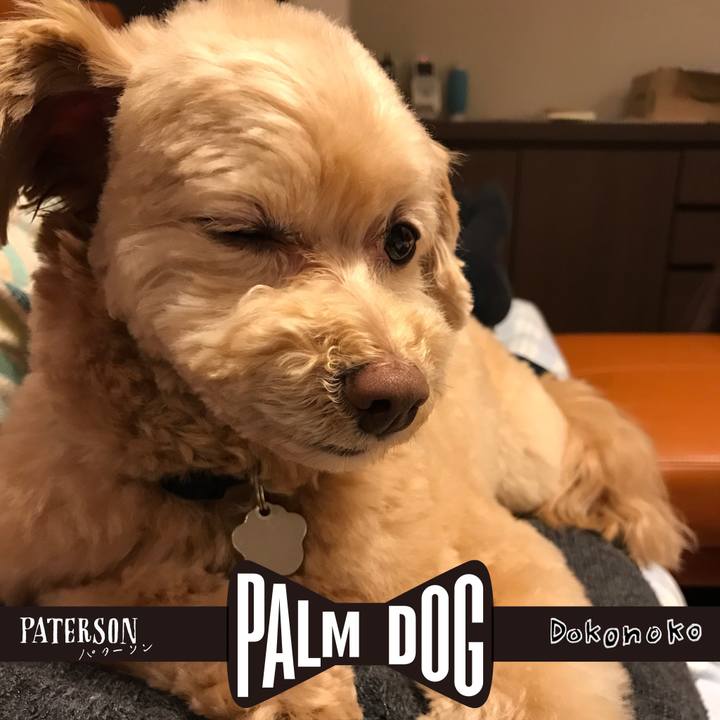 B40aab76 4897 4773 b1d9 472d0f4c0e51