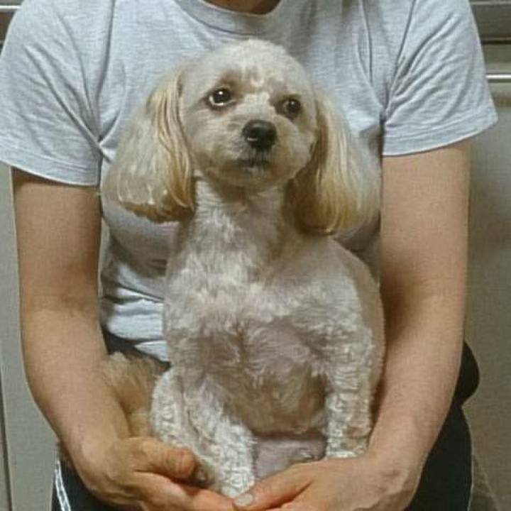 B40abd0a eeb7 4d3d babf 8d3cfede56f8