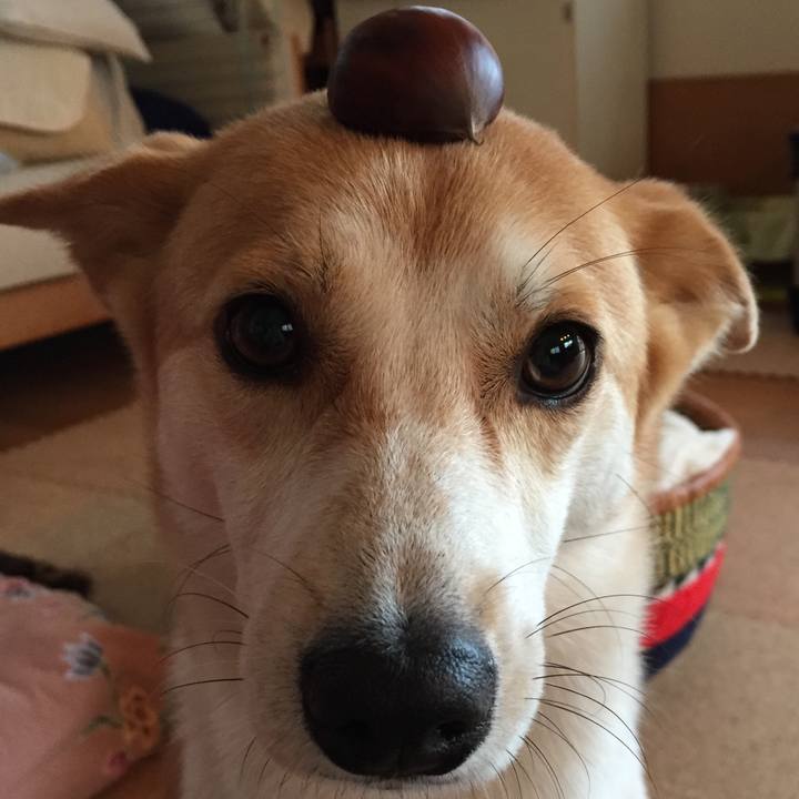 B40b0a78 b453 423d a824 df20d5336348