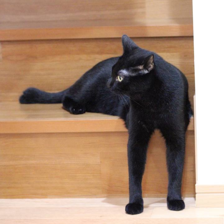 B40b3018 f34c 42cb 96b2 19cb97f1a344