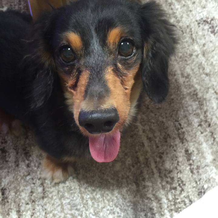 B40bb8bd d28e 4494 a19c 205b7e03ca01