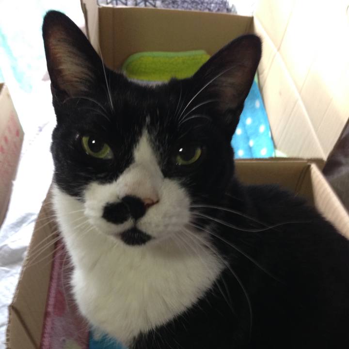 B40c15b9 3c3b 4f3a 9507 b132b514637b