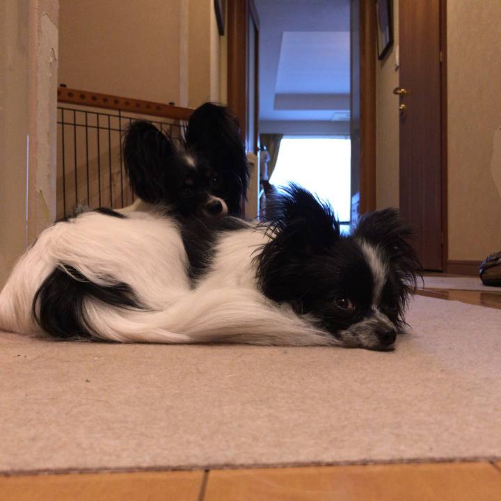 B40ca66b 575e 4d75 8cb4 dd5e29e6a8a2