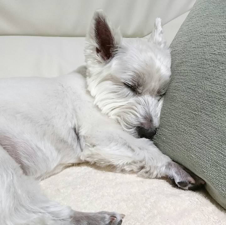 B40cdffa 936b 433a 9bf7 26db61bdbd93