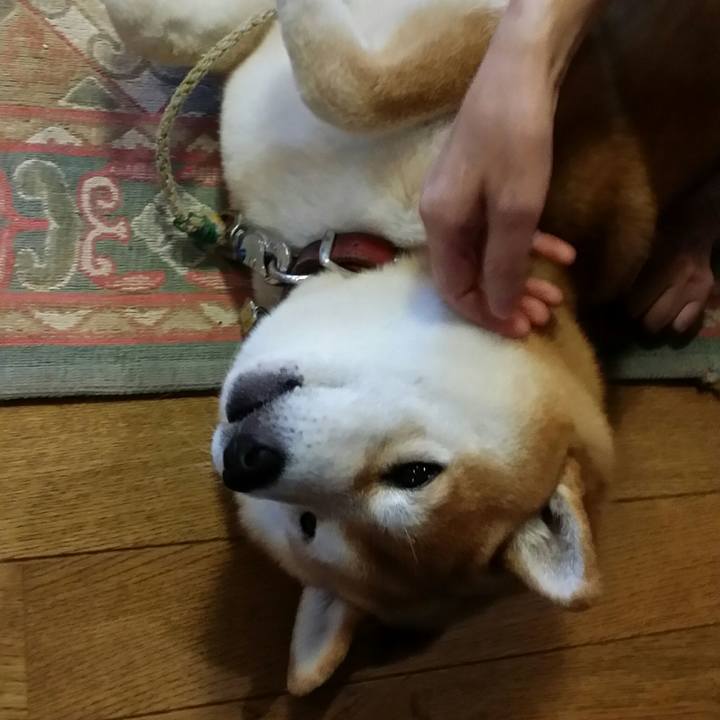 B40cf64f 2179 401b 8846 9448394c6034