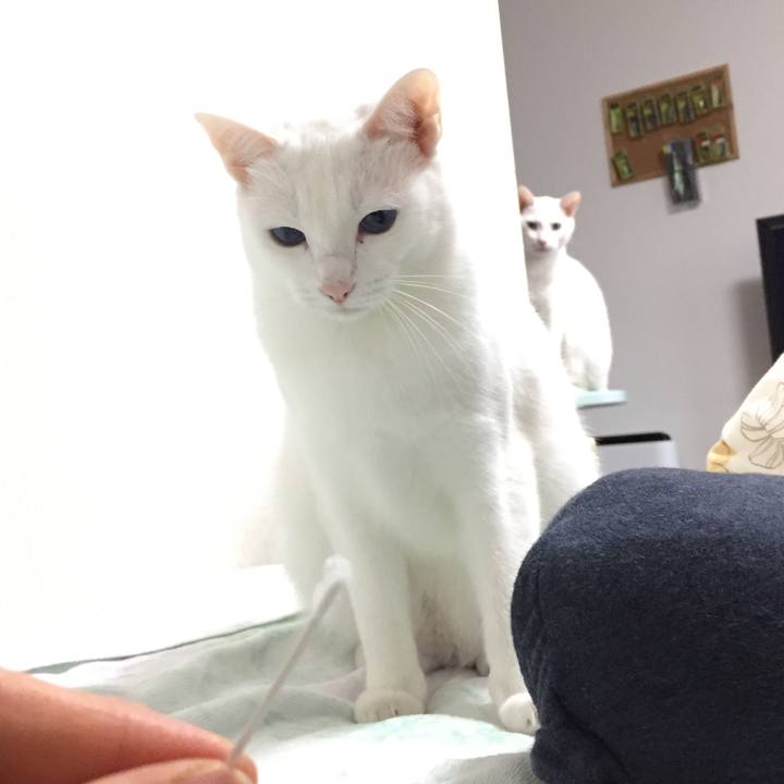 B40cf80a 7fff 49d0 9d20 bc72bfab2725