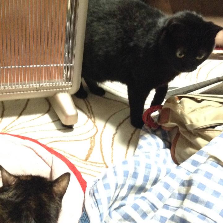 B40d17ac a664 4a57 9fe6 f0f463af3b92