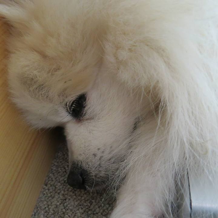 B40de156 b80e 4170 907f 441840ba7679