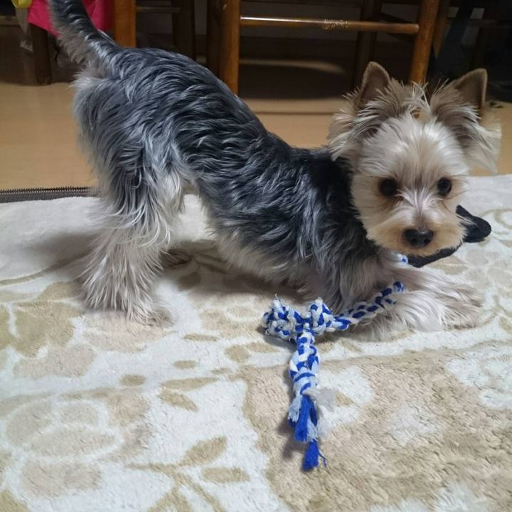 B40e3ba0 644a 4a7b 8d87 a90de32485cf