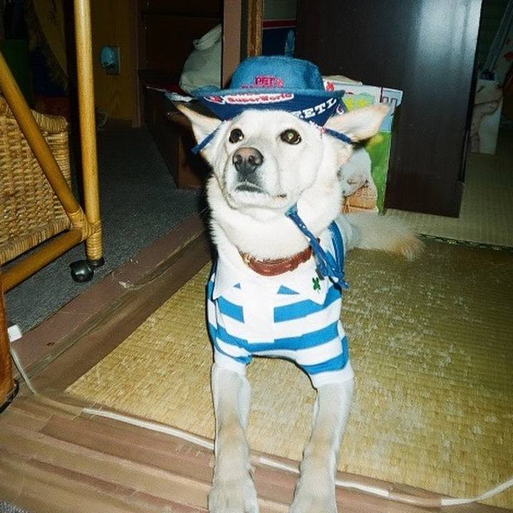 B40e626b b62b 48c1 9e5a b1f5589004dc