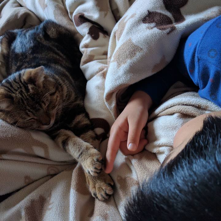 B40e6c7e 7215 4c1c aefb 12e5c081c5ce