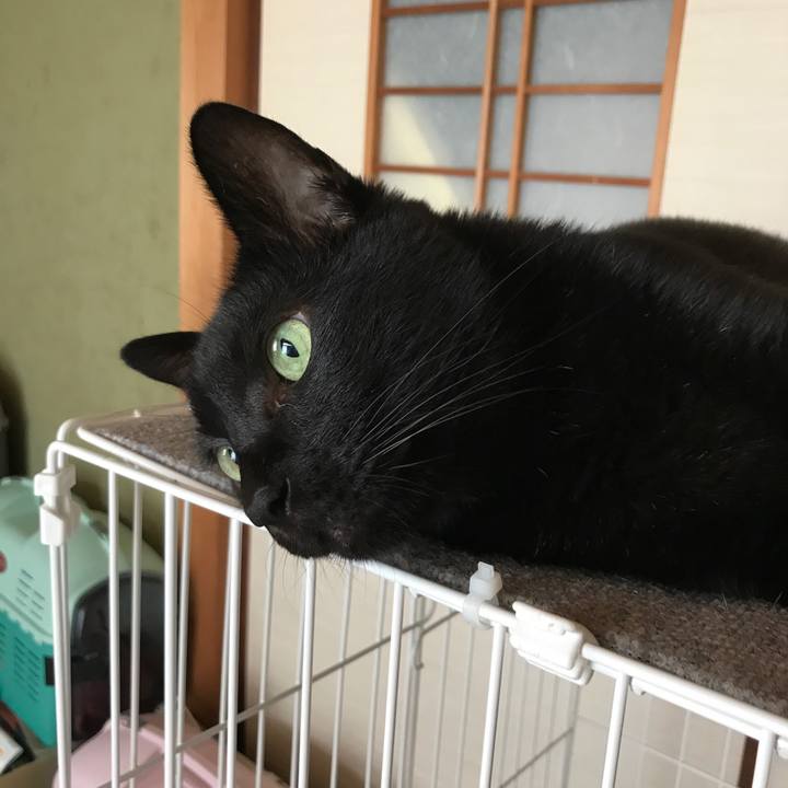 B40e7664 267b 44d1 b702 c65c0612af8a