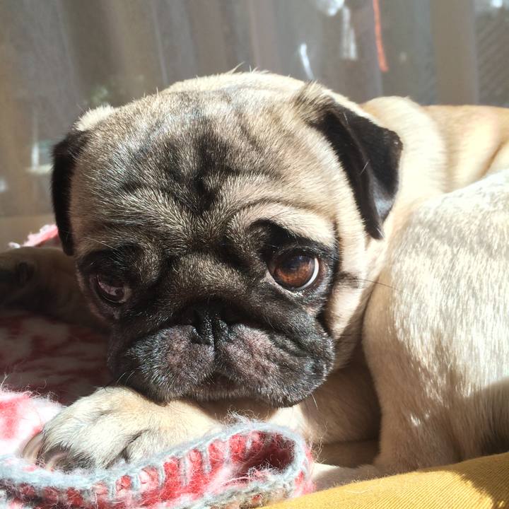 B40e94f8 1dd0 4fd1 96c7 55c5be834b70