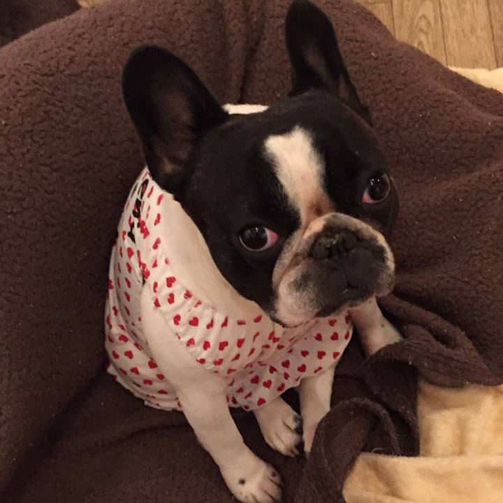 B40ecc82 9bce 48aa 9389 4b6de1a4a629