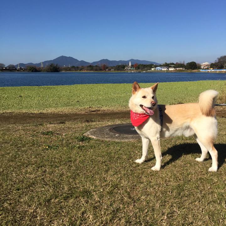 B40eda99 1eb3 4e70 975e 46fbf6e42216