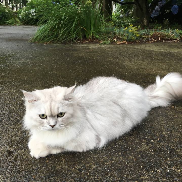 B40eef2b 1fd4 42a9 852f f3fa58b67e93