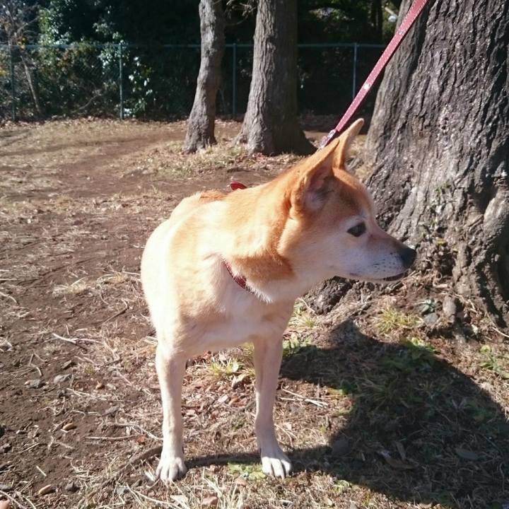 B40f8904 8150 4638 8715 b2a06d1819d7