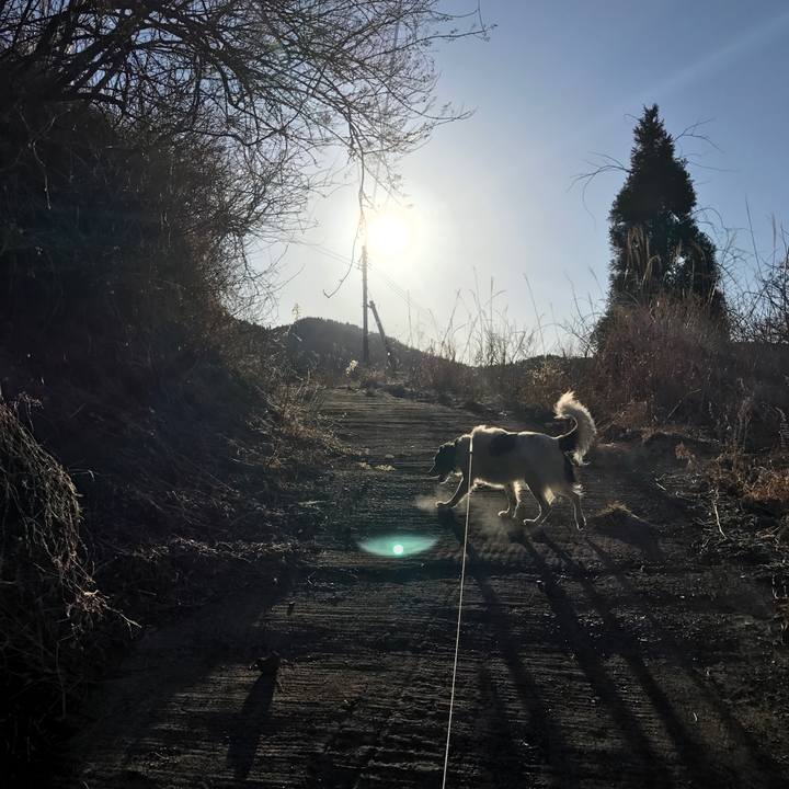 B40f91eb 2a5a 48dc 9408 80a49d16d48e