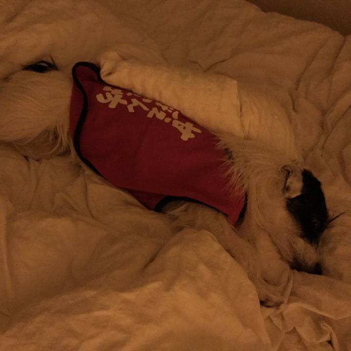 B410e644 94e7 4788 ad01 780523b3c598