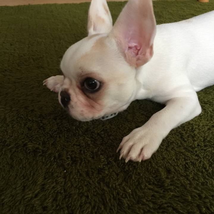 B4110a77 2e9d 4795 8d01 a546ad0f02b1