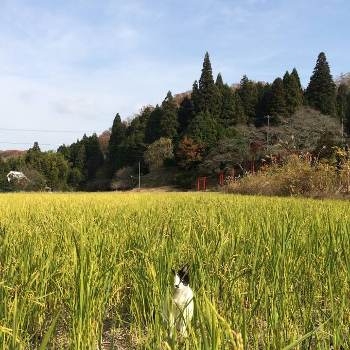 B41179e3 0b19 435c 8d04 c4e8bb3c0f42