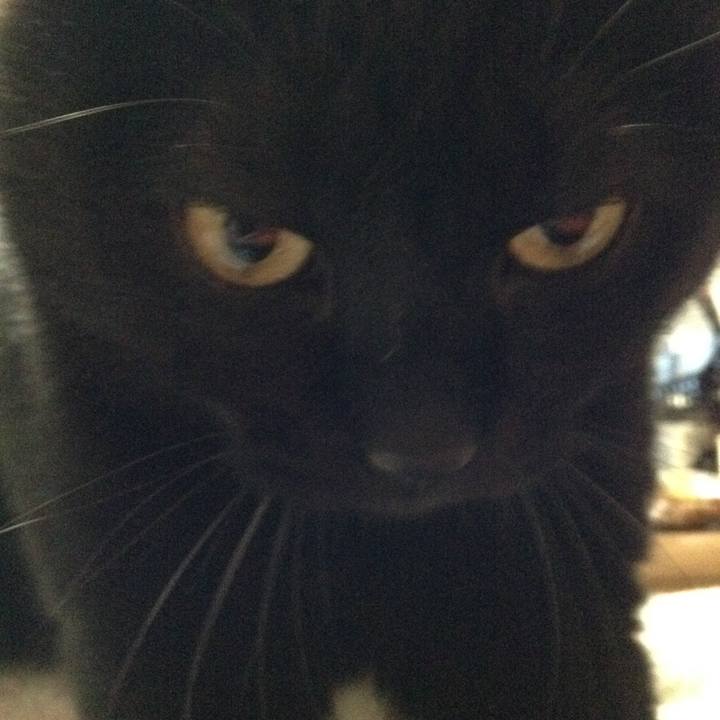 B41181e3 0304 43bb af4b d736934855ae