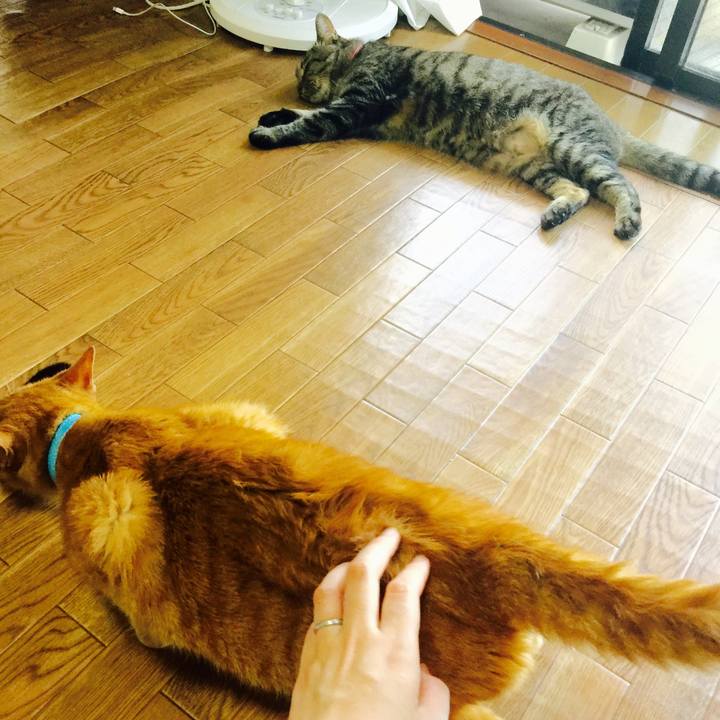 B411ec4e 4fa8 49cf 9700 18265d64ee3c