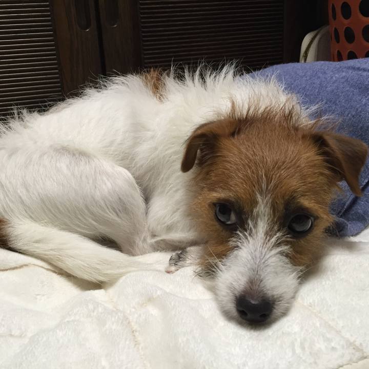 B4127f30 61a8 4fab 89db 9b5678a7d1cc