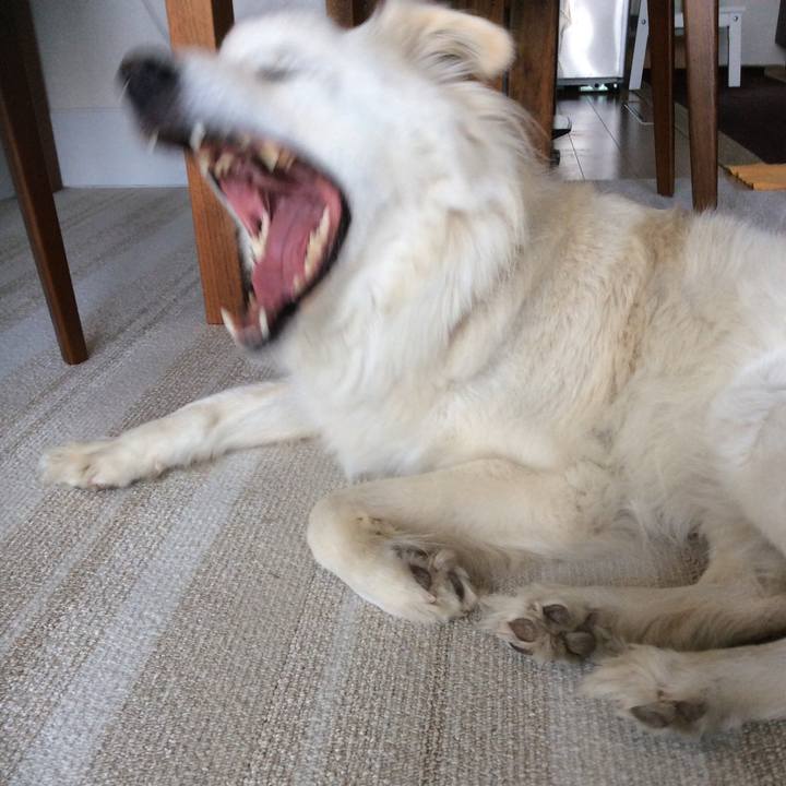 B4128d27 b6cb 4217 8729 72cab7c39802