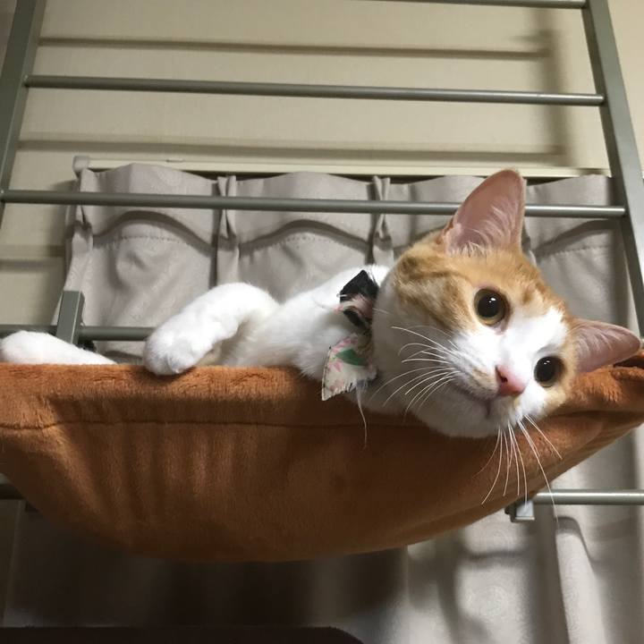 B413d576 62fa 45e0 b809 04298cfaf51a