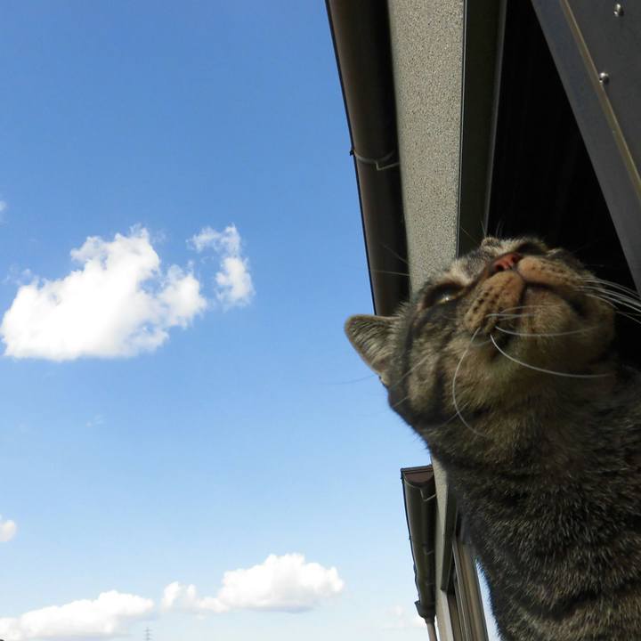 B414515d ea8c 40d9 91a3 a8eea64ae06d