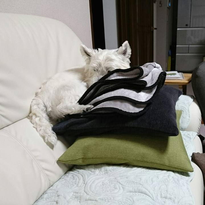 B414a390 9dc9 4d38 9250 2cbd9b78115f