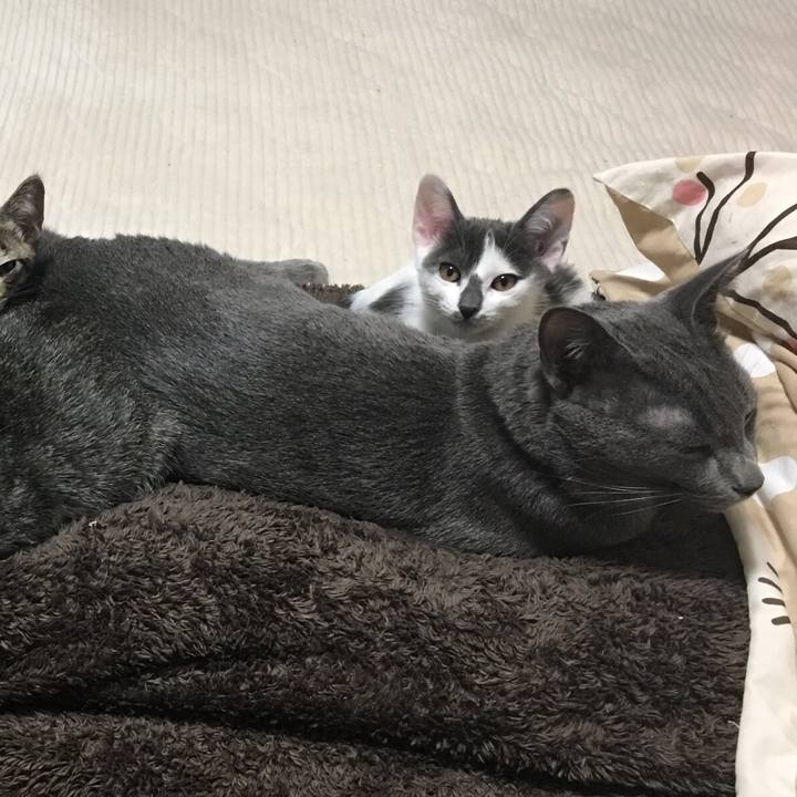 B41557e4 62a0 40fc a1b1 3cca81114314