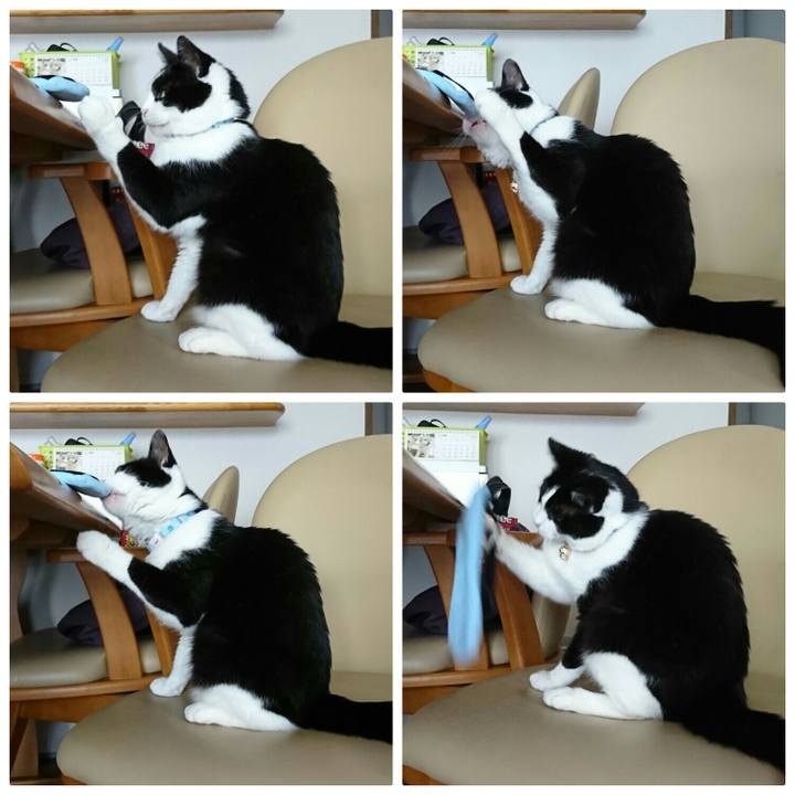 B4156c50 3926 44ff 99dd 283c36e51867