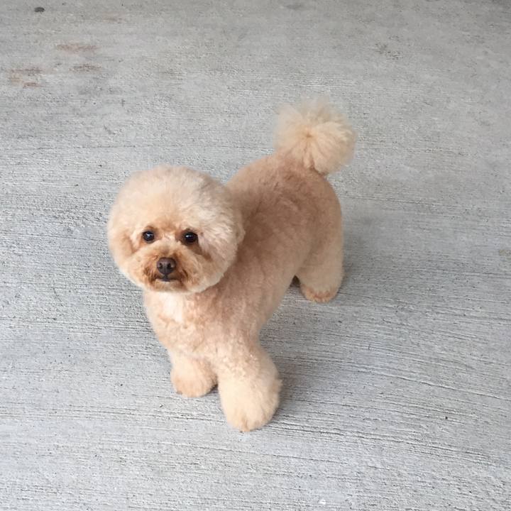 B41573bc 9007 494c b05b 06a27ffd61e2