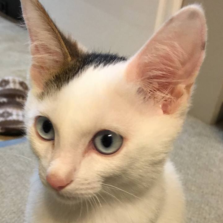 B415942a 5247 4033 bf57 a94eccc0a408