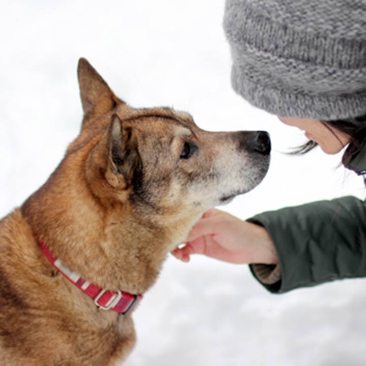 B415b214 102d 4d27 bba3 b6b23c5a96b2