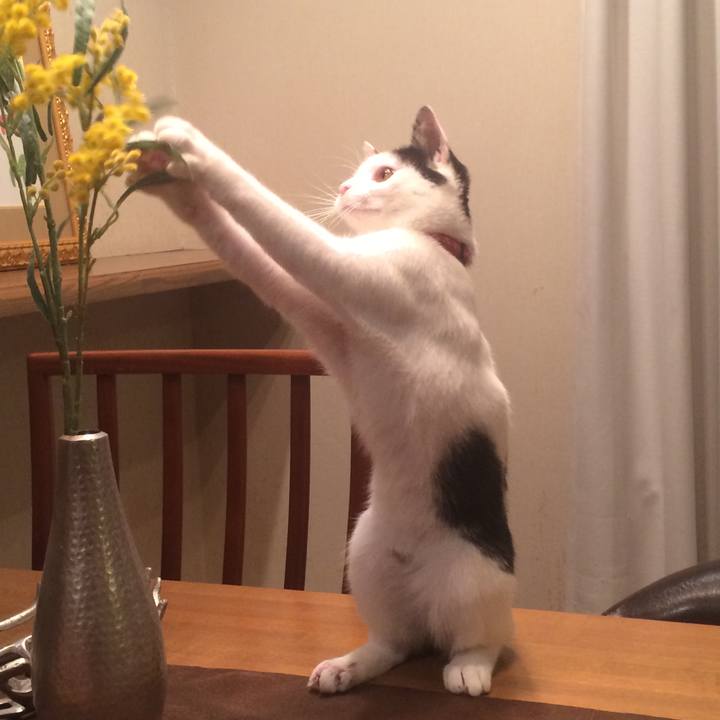 B4163609 3b83 42fc 9ae5 255b25032da0